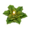 Biedermann & Sons 16 Count Poinsettia Floating Candles, Gold Glitter Green